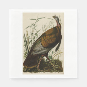 Thanksgiving Vild Turkiet John James Audubon Pappersservett