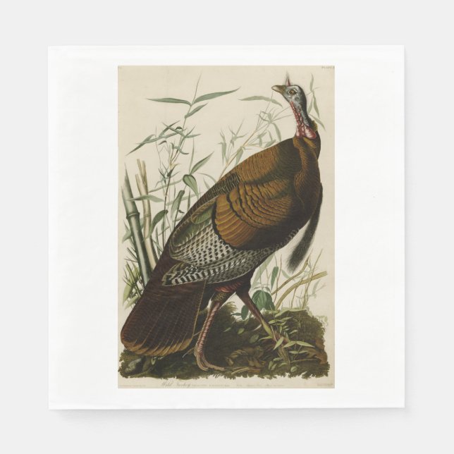 Thanksgiving Vild Turkiet John James Audubon Pappersservett (Framsidan)
