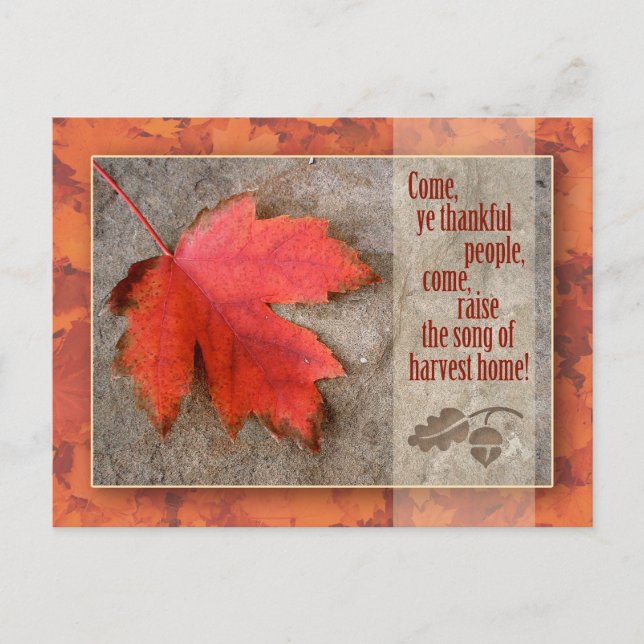 Thanksgiving vykort (Framsida)