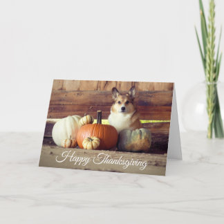 ThanksgivingCorgi Kort
