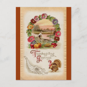 Thanksgivingen Asters, Cornucopia & Turkey Helg Vykort