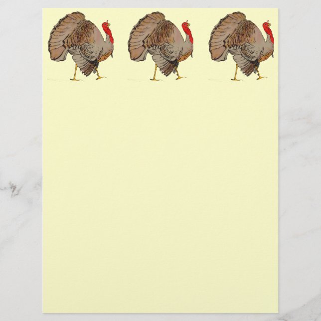 Thanksgivingen fullt Turkiet (Framsida)