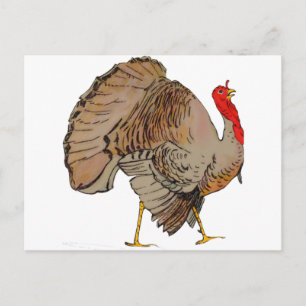 Thanksgivingen fullt Turkiet Helg Vykort