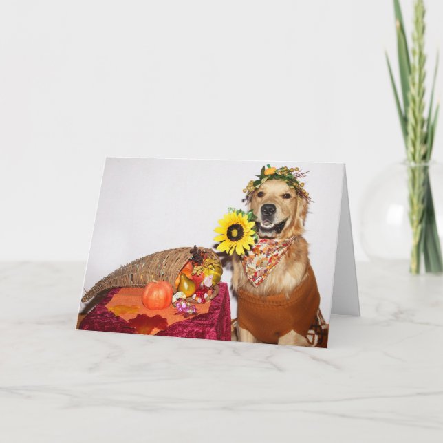 Thanksgivingen Golden Retriever Harvest Helgkort (Framsida)