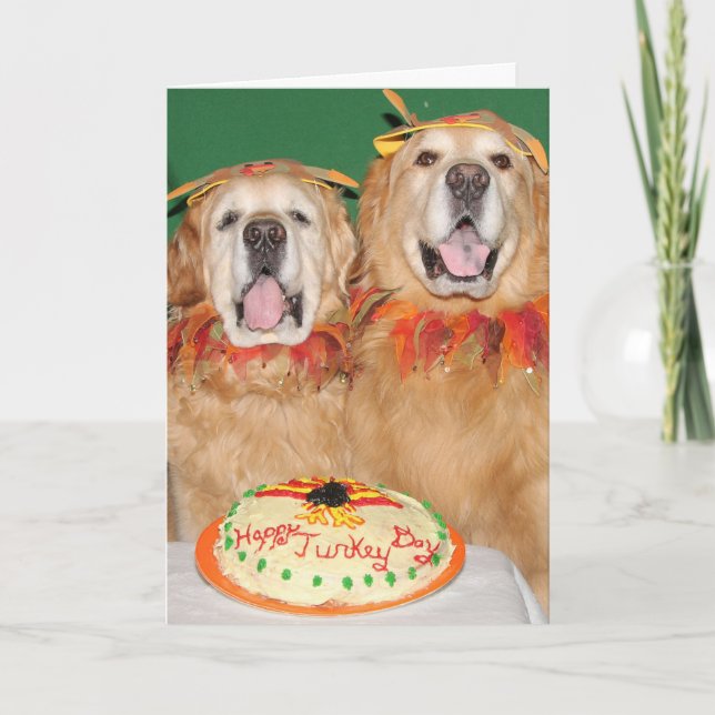 Thanksgivingen Golden Retriever tar kummeln Kort (Framsida)