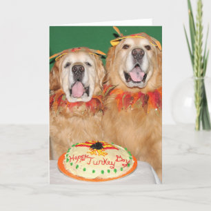 Thanksgivingen Golden Retriever tar kummeln Kort