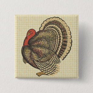 Thanksgivingen Turkiet klämmer fast Knapp