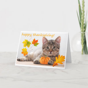 Thanksgivingkattunge Helgkort