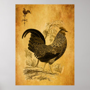 Thanksgivingtupp Poster