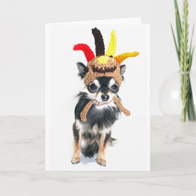 ThanksgivingTurkiet Chihuahua Helgkort (Framsida)
