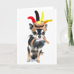 ThanksgivingTurkiet Chihuahua Helgkort