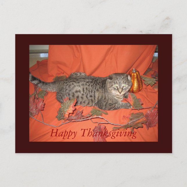 Thanksgivingvykort Helg Vykort (Framsida)