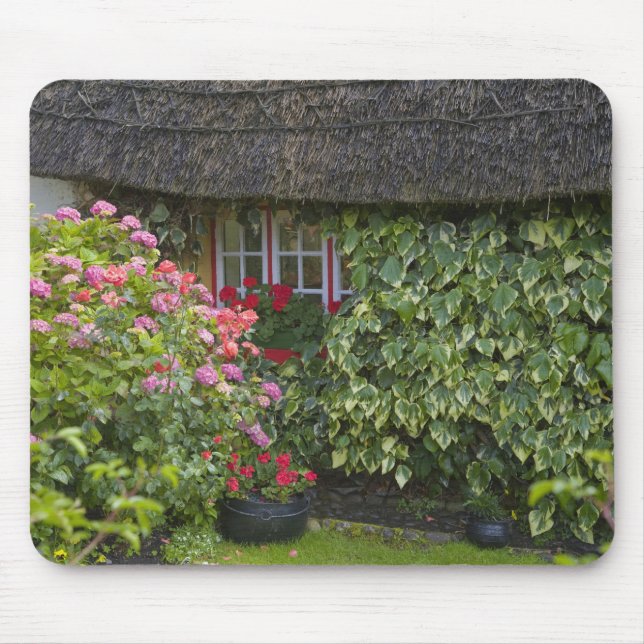 Thatched cottage, Adare, County Limerick Musmatta (Framsidan)