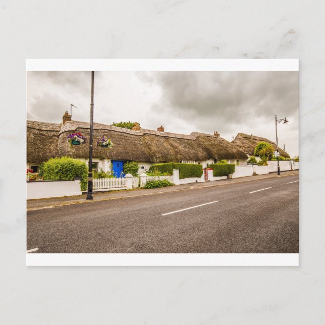 "Thatched Cottages, Ireland" vykort (Framsida)