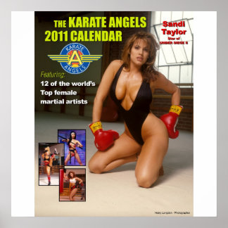 The_2011_Karate_Änglar_Calendar Poster
