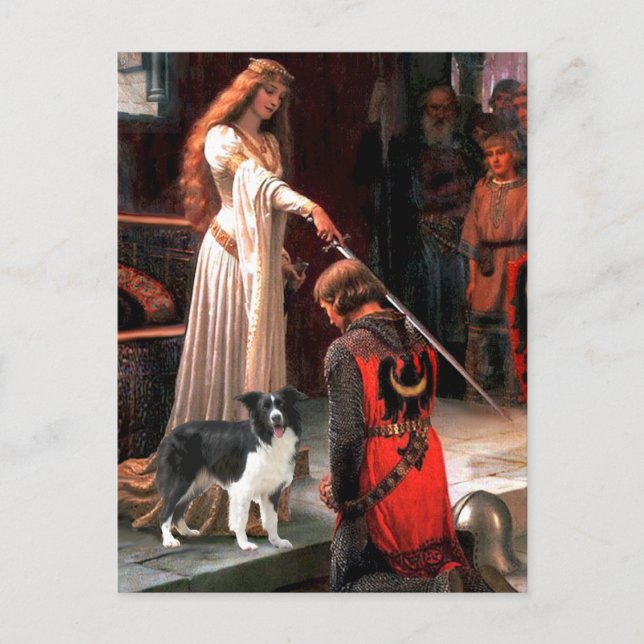 The Accolade - Border Collie (Z) Vykort (Framsida)