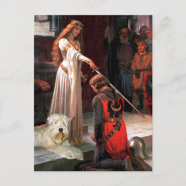The Accolade - Wheaten Terrier 1 Vykort (Framsida)