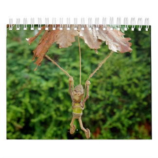 The Acorn People of Shirebrook Valley Kalender