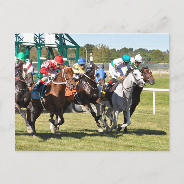 The Alphabet Soup 2017 Vykort (Framsida)