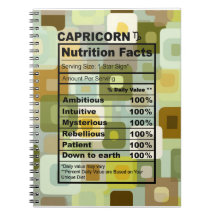 🐐 The Architect's Journal: Capricorn Edition