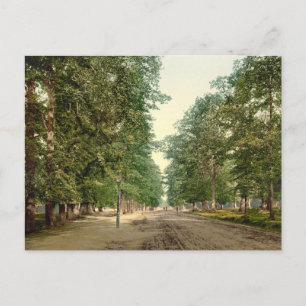 The Avenue, Southampton, Hampshire, England Vykort