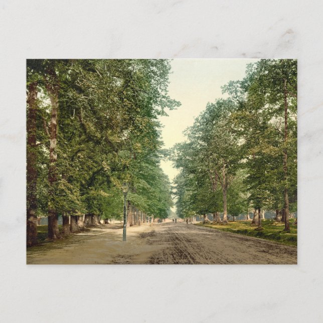 The Avenue, Southampton, Hampshire, England Vykort (Framsida)