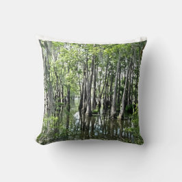 The Bayou Kudde