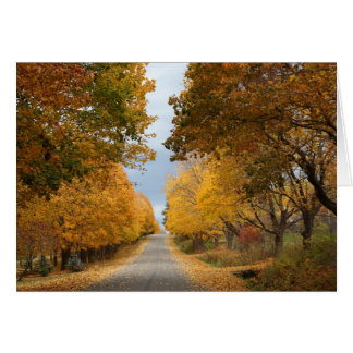 "The Beauty of Autumn" Hälsningskort