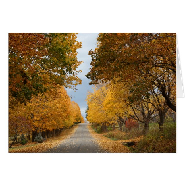 "The Beauty of Autumn" Hälsningskort (Framsidan Horizontal)