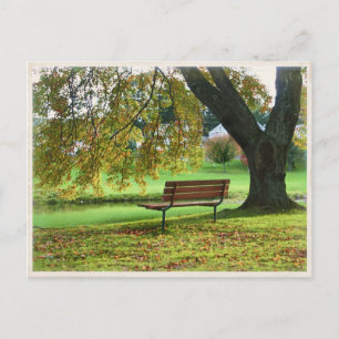 The Bench on Memorial Boulevard, Bristol CT Vykort