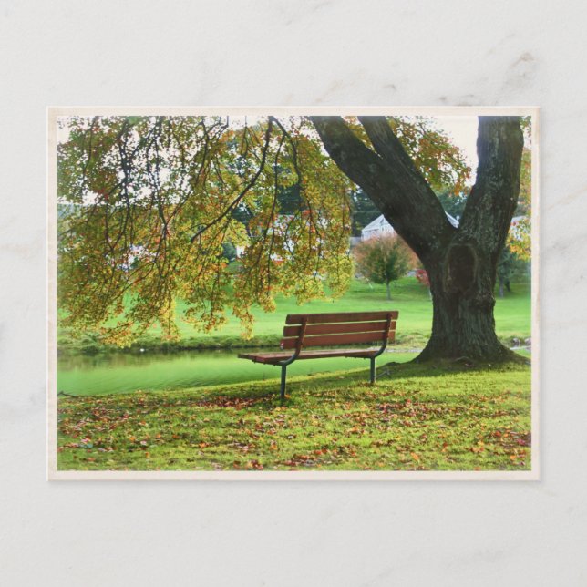 The Bench on Memorial Boulevard, Bristol CT Vykort (Framsida)