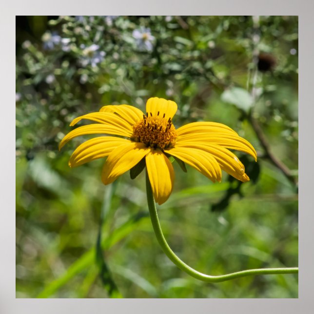 The Bend Floral Poster (Framsidan)