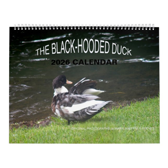 THE BLACK-HOODED DUCK 2026 CALENDAR KALENDER (Omslag)