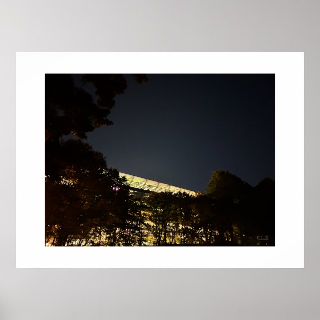 "The Bosuil Stadium by Night" -  Poster (Framsidan)