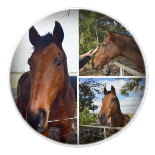 The Brown Horses Collage Knopp
