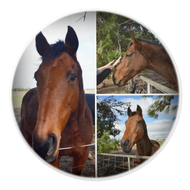The Brown Horses Collage Knopp (Framsidan)
