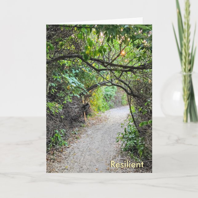 The Busy Busy Bee Collection – Resilient Card Kort (Framsida)