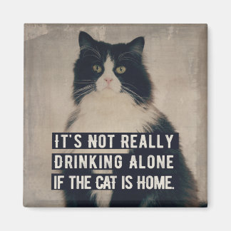 The cat magneet magnet