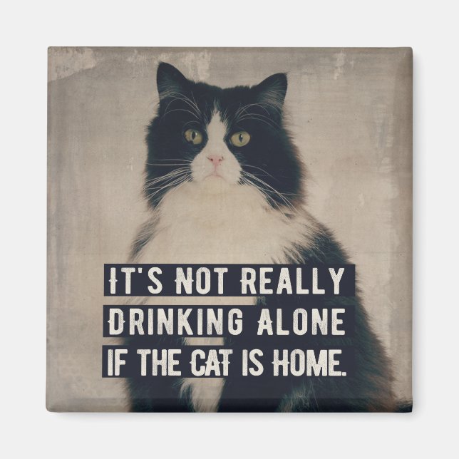 The cat magneet magnet (Framsidan)