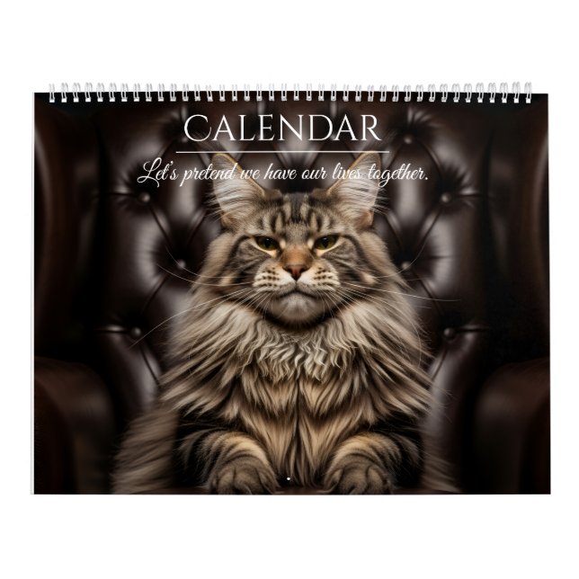 The Catwalk Chronicles - Funny Kalender (Omslag)