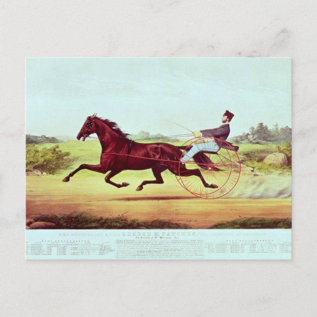 The Celebrated Horse, George M. Patchen Vykort (Framsida)