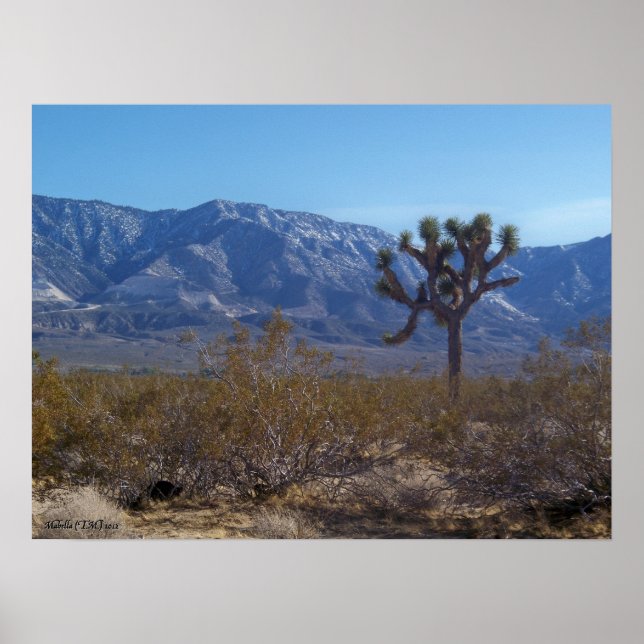 The Contrast Poster (Framsidan)