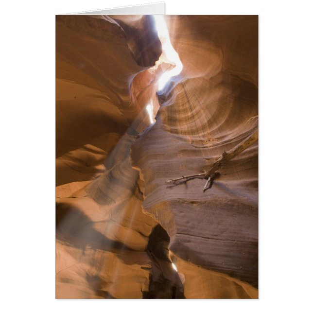 The Corkscrew i Upper Antelope Canyon, Navajo Hälsningskort (Framsidan)