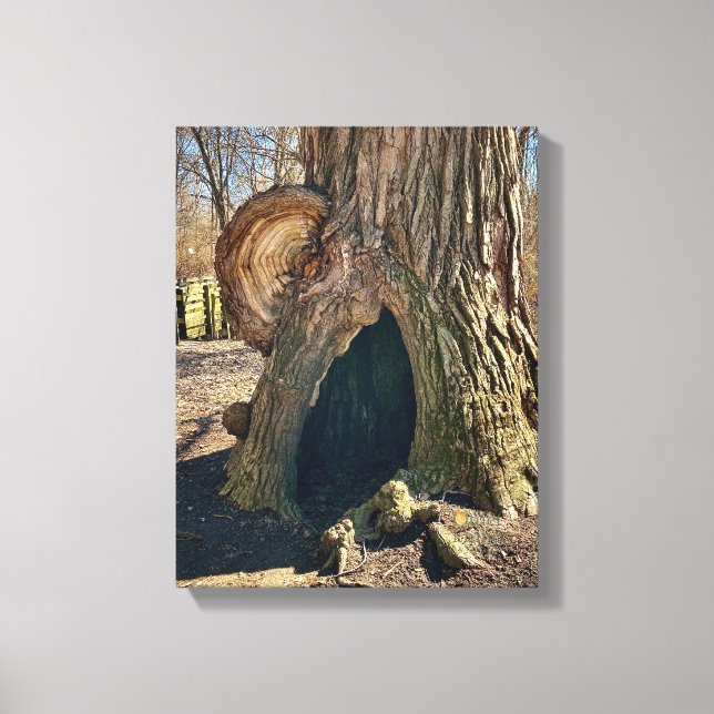 The Curious Hollow 11 x 14 becomes Den Nyfikna Hål Canvastryck (Framsida)
