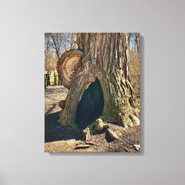 The Curious Hollow 16x20 Canvastryck