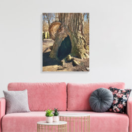 The Curious Hollow 16x20 Canvastryck