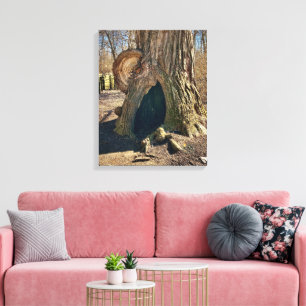 The Curious Hollow 16x20 Canvastryck