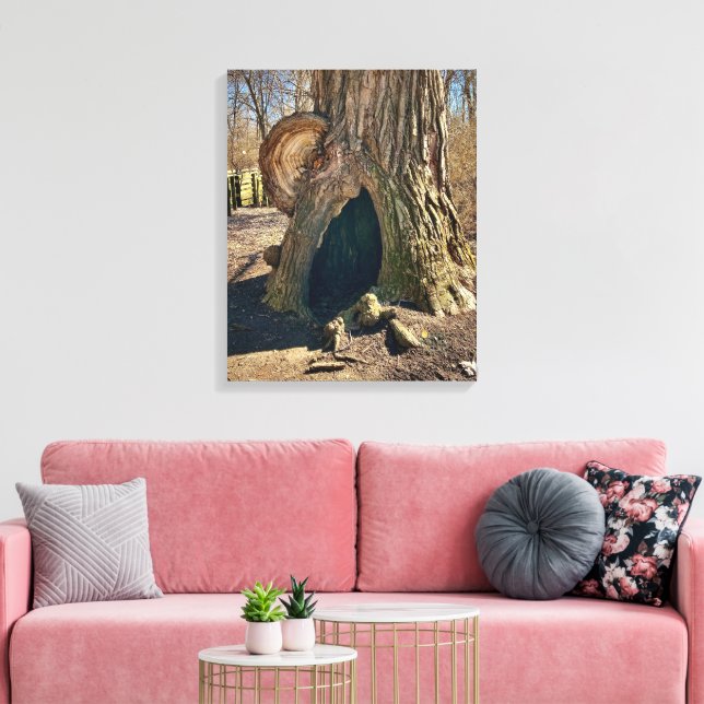 The Curious Hollow 16x20 Canvastryck (Insitu (Vardagsrum))