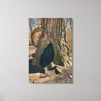 The Curious Hollow 20x30 Canvastryck