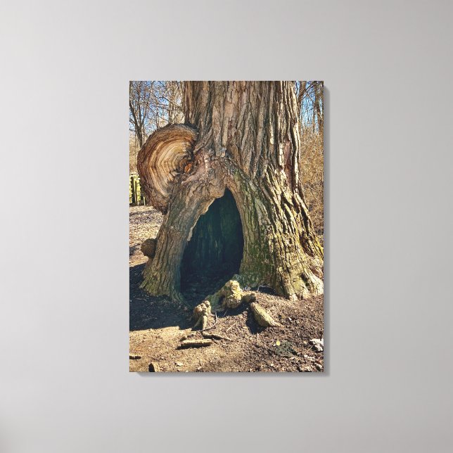 The Curious Hollow 20x30 Canvastryck (Framsida)